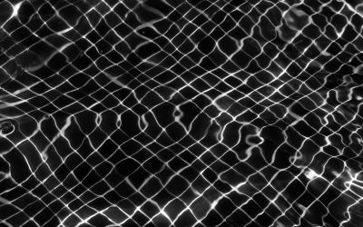 How risk management can disable corruption within organisations