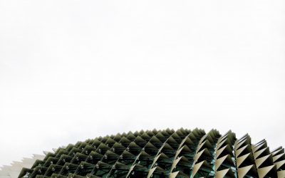 South Africa’s courts charged with untangling the business interruption riddle